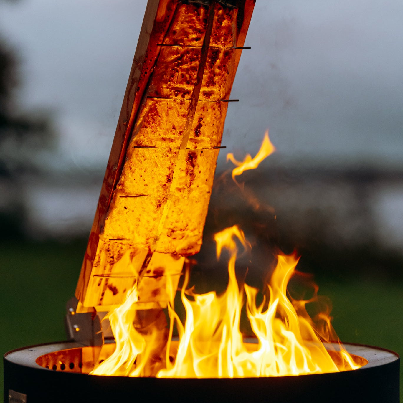 Norliva plank voor vlammende zalm voor vuurschaal
